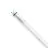 Philips Master Tubo LED T8 (EM/Mains) High Output T8 16.7W 3100lm - 865 Luce Del Giorno | 150cm - Sostitutiva 58W